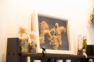 新庄駅美容室・美容院・ヘアサロン｜hair salon Air(アイル)